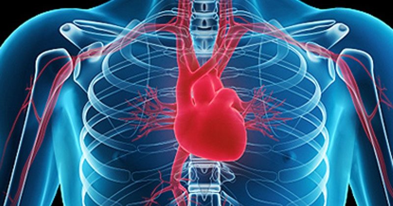 GESTIONE ODONTOIATRICA DEL PAZIENTE CON PATOLOGIE CARDIOVASCOLARI