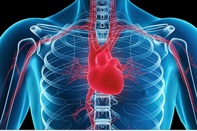 patologie-cardiovascolari